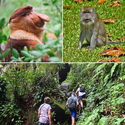 Bako National Park