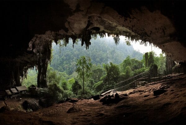 Niah National park - Tourism Website